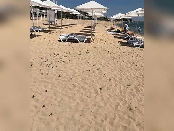 Туристы возмутились, что на крымском пляже продают тень